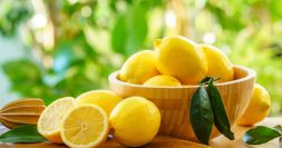 Plot 1: Lemon